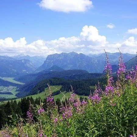 Rosenhaus-3 Apartment